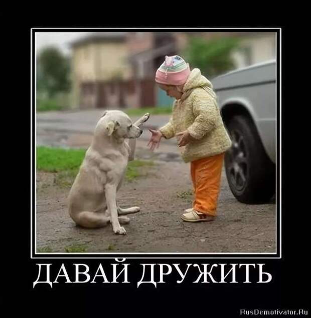 Прикольные демотиваторы с надписями. Подборка chert-poberi-dem-chert-poberi-dem-30580603092020-15 картинка chert-poberi-dem-30580603092020-15