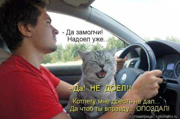 Котоматрицы за декабрь (45 штук) Котоматрицы за декабрь (45 штук)