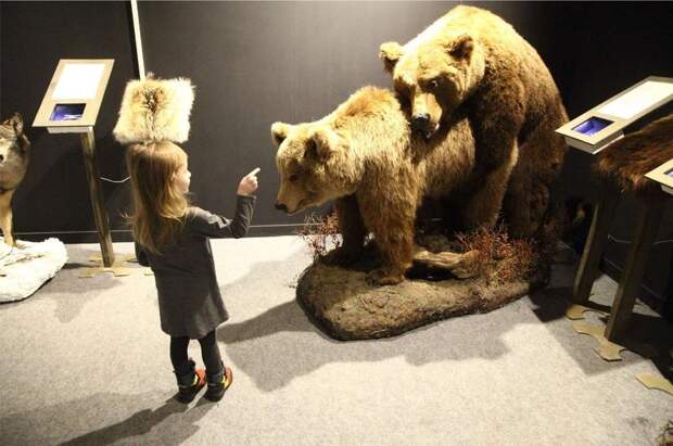 «Светлоликие» чиновники поддержали выставку совокупляющихся животных в Новосибирске