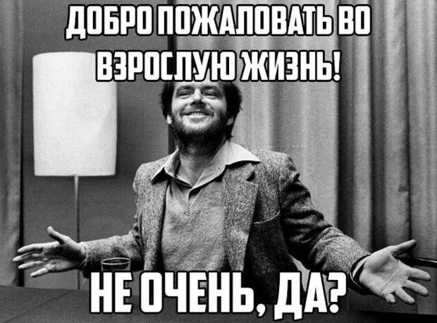 Прикольные картинки Прикольные картинки
