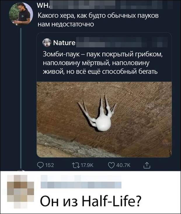 смешные комментарии