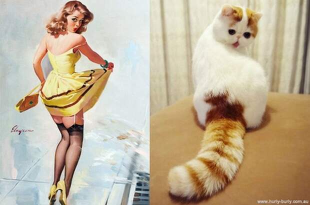 Симпатичные девушки и коты в стиле Пин-Ап пин-ап, прикол, русский, юмор