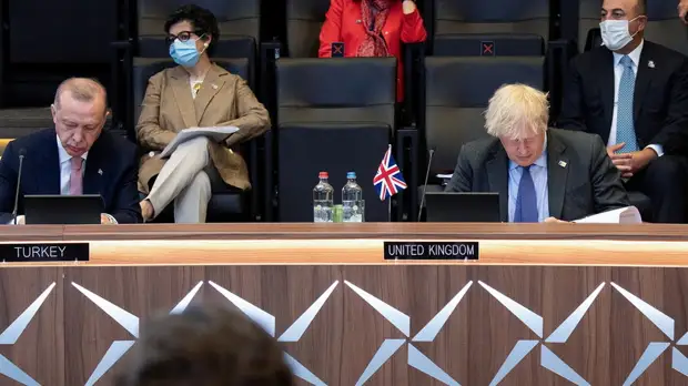 Джонсон и Эрдоган обсудили борьбу с пандемией