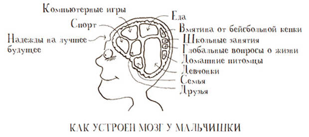 Начальная школа: почему мальчики учатся хуже? Так устроен мозг