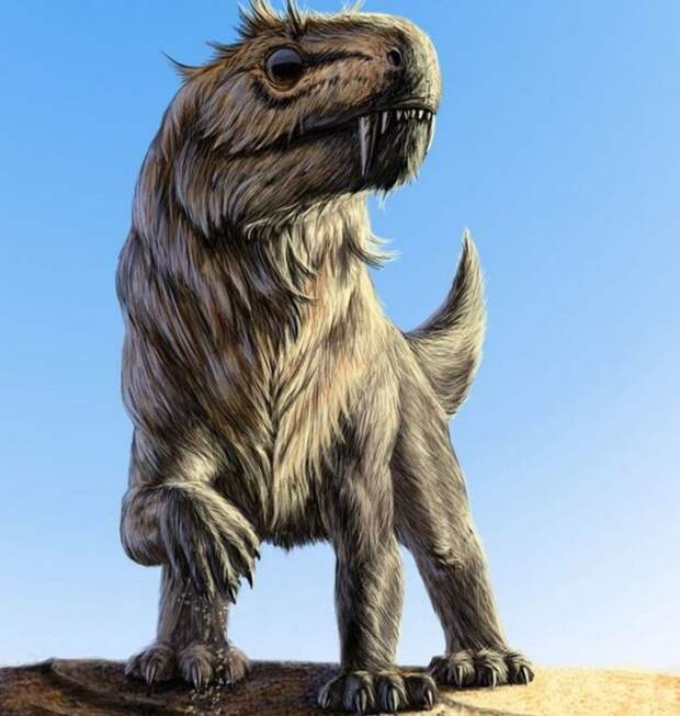 Нотогомфодон (лат. Nothogomphodon)
