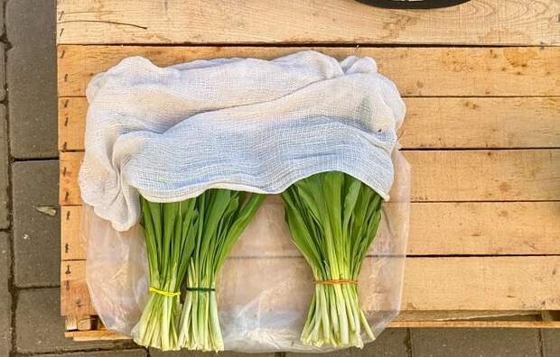 Роспотребнадзор рассказал тулякам о пользе черемши