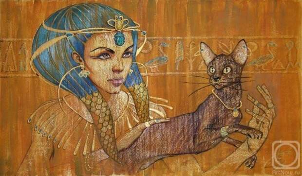 кошка