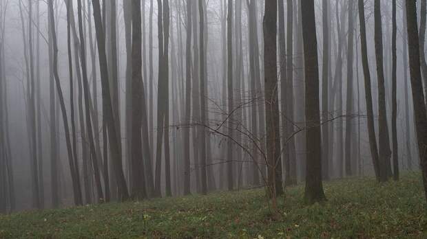 «Ее мать была в шоке»: появилась новая информация о пропавшей в тайге Усольцевой