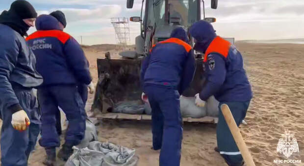 Не меньше месяца понадобится на очистку побережья Краснодарского края от нефтепродуктов