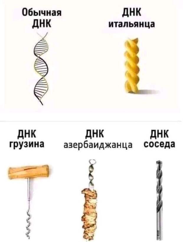 ДНК