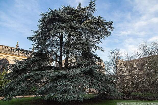 Oxford. Оксфордский университет. Рождественский день знаний Oxford32 Oxford. Оксфордский университет. Рождественский день знаний
