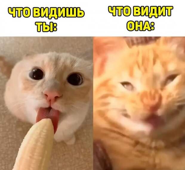 Приколы от пользователей социальных сетей про &quot;это&quot;