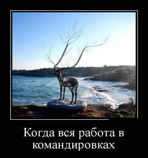 Демотиваторы