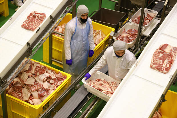 Доходы России от экспорта свинины подсчитали
