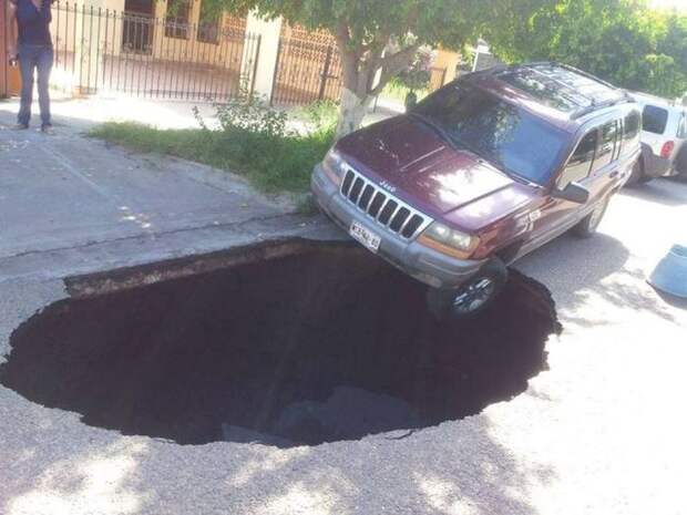 Прикольные картинки Прикольные картинки