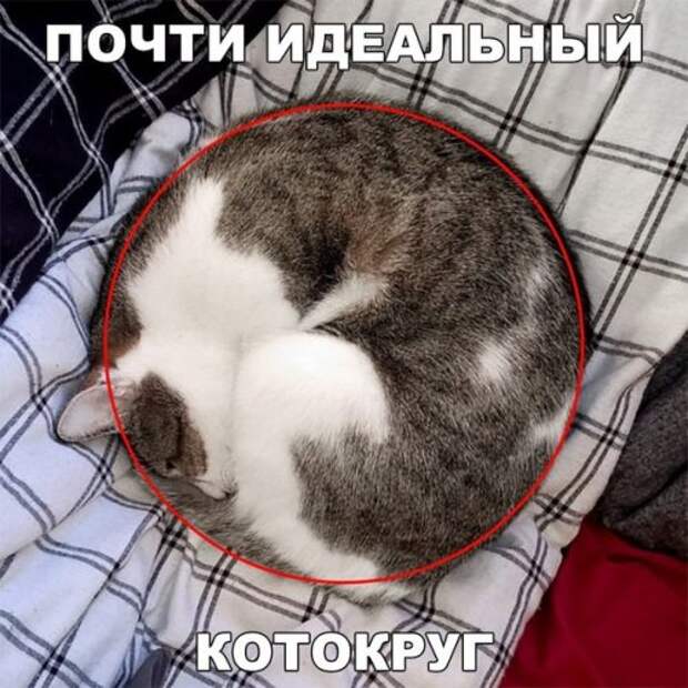 Новые прикольные фотомемы (23 шт)