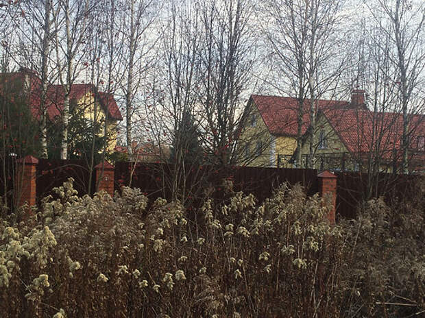 Кража у Хазанова: дом уже обворовывали, и артист хотел его продать