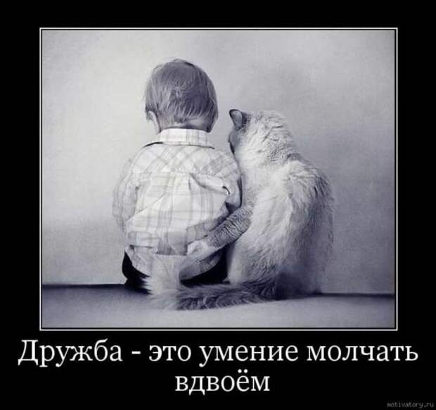 Прикольные демотиваторы с надписями. Подборка chert-poberi-dem-chert-poberi-dem-45580603092020-17 картинка chert-poberi-dem-45580603092020-17