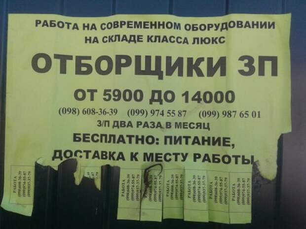 Анекдоты дня (8 шт)