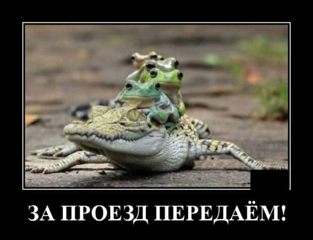 Демотиватор про плату за проезд