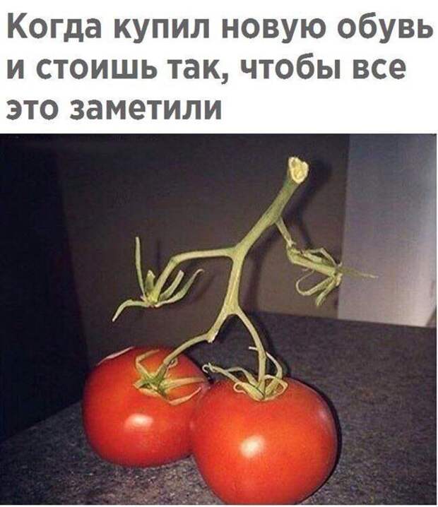 Народный юмор в веселых фото настроение, фото, юмор