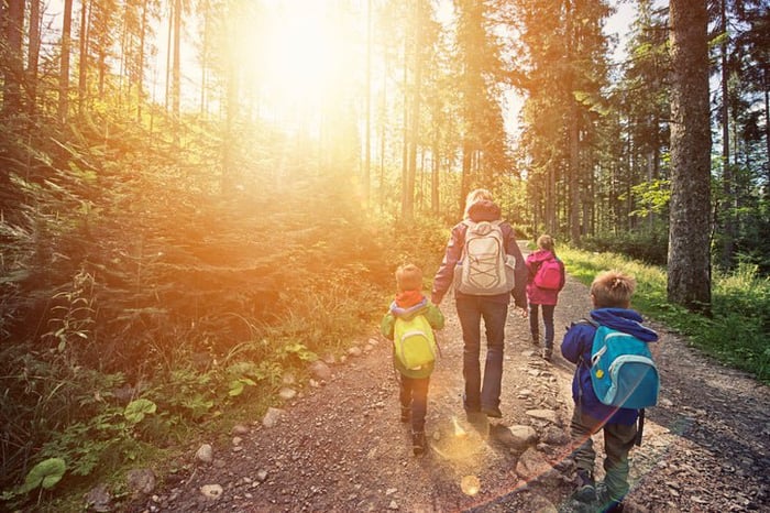 An adult and three kids wearing backpacks and hiking through a sunny forest.