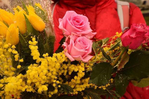 8 Марта в Краснодаре: как южная столица отметит женский праздник