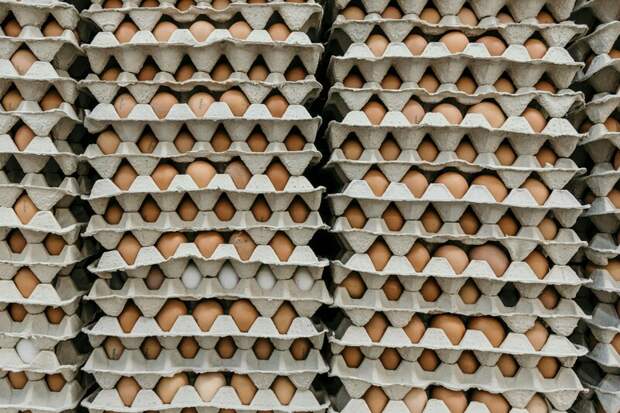 5 млн пищевых яиц из Азербайджана  поставлены в Россию с 15 по 21 апреля