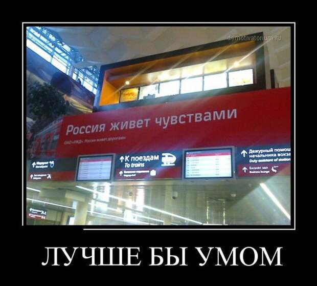 Где демотиваторы - там позитив!