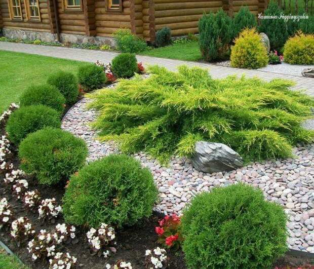 Гравийный сад: специфика создания креативного уголка на дачном участке