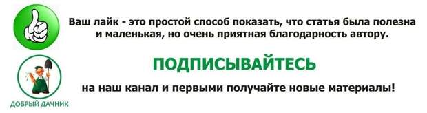 Ранние сорта сладкого и сочного редиса - сею в конце февраля и всю весну ем свежие салаты