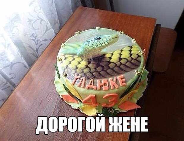 Картинки, юмор, приколы