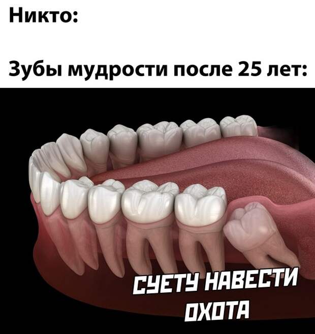 Смешные картинки 1 февраля вечерний выпуск
