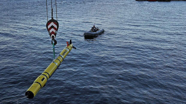 США и Британия начинают совместную разработку средств для противодействия БЭК