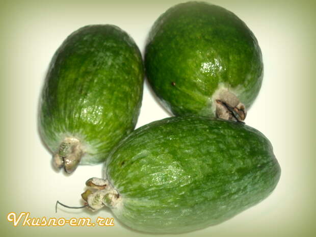 dscn1105.jpg