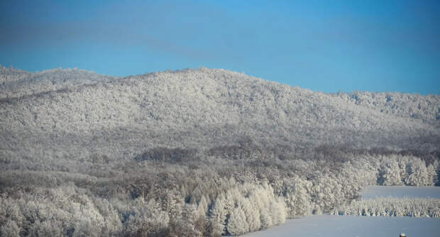 Тайна исчезновения Усольцевых спрятана на дне реки? Последние новости о пропавшей семье