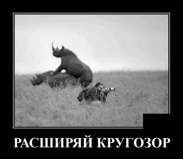 Демотиваторы 10 сентября 2021 года
