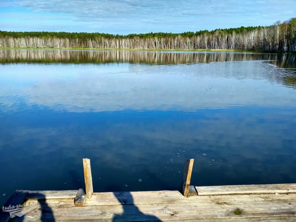 База 5 озер. Линёво озеро Омская область. Озеро Линево Омск. Муромцево озеро Линево. Пять озёр Омская область Линево.