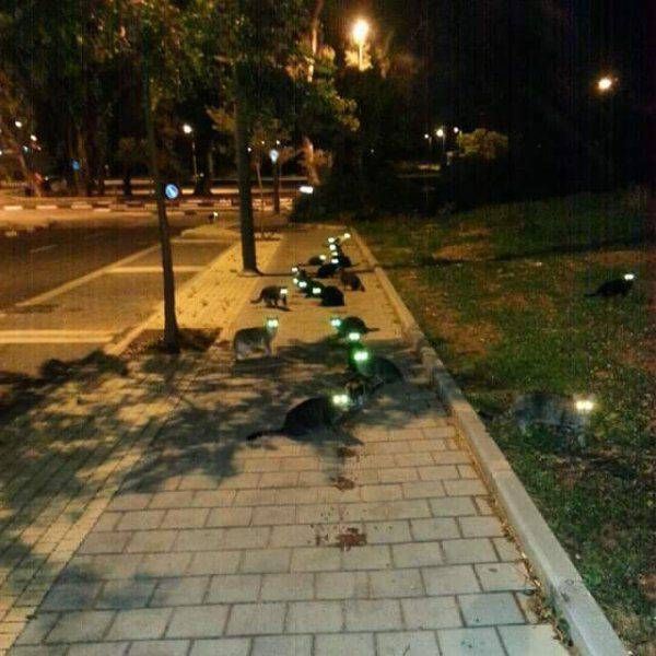 1485111843_140