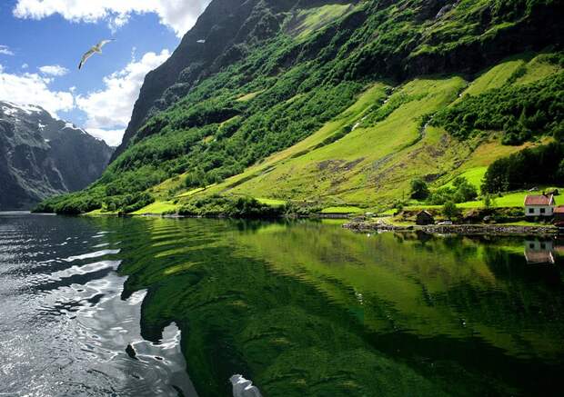 fjords01 fjords01 Самые красивые фьорды Норвегии