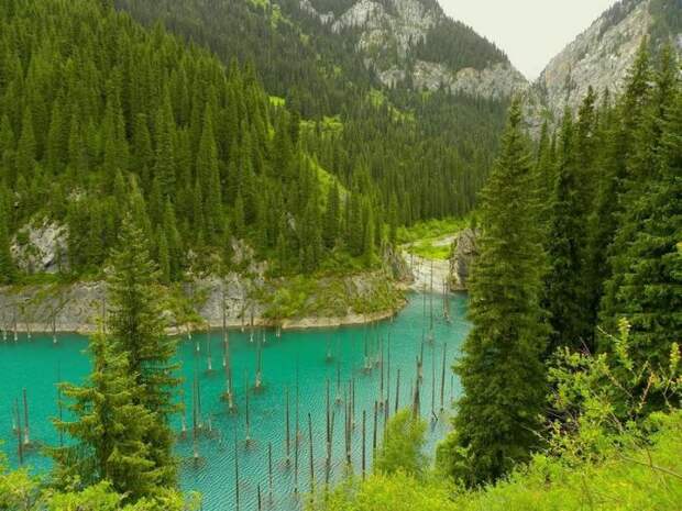 Затопленный лес озера Каинды, Кайнды, (Lake Kaindy), КазахстанЗатопленный лес озера Каинды, Кайнды, (Lake Kaindy), Казахстан