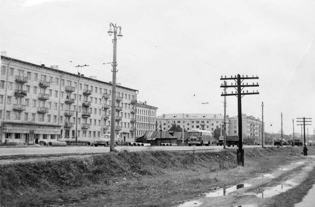 В аэропорт без пробок: репортаж с самой нужной трассы Москвы - Фото 3