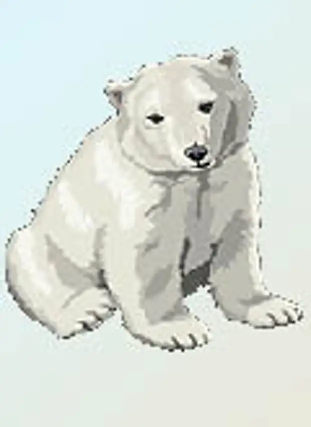 Гороскоп Зороастрийский - Медведь (1931, 1963, 1995, 2027, 2059)