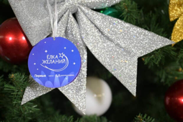 МВД России продолжает участвовать в благотворительной акции «Елка желаний»