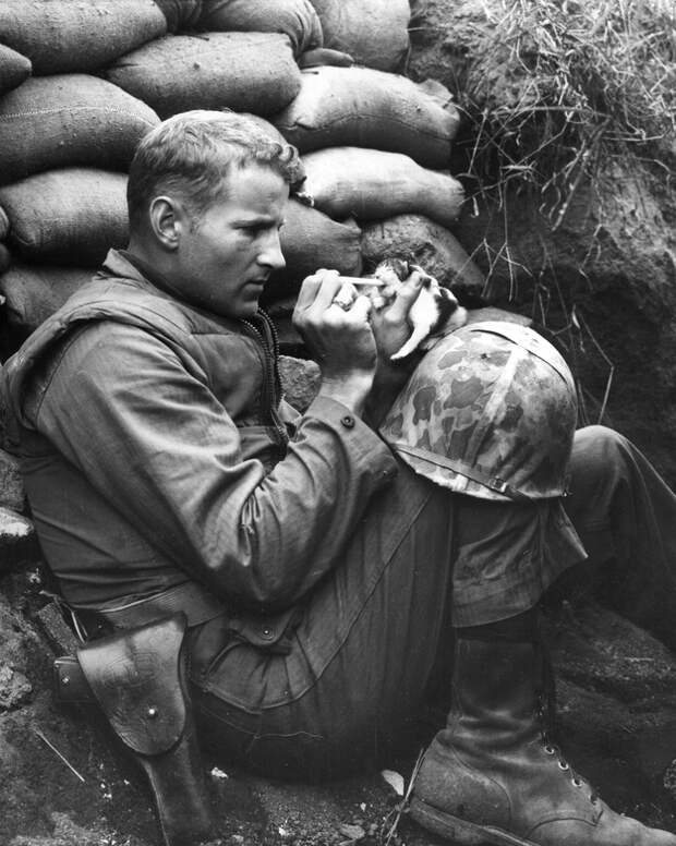 MostTouching23 Самые трогательные фотографии