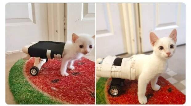 Я расту Я расту