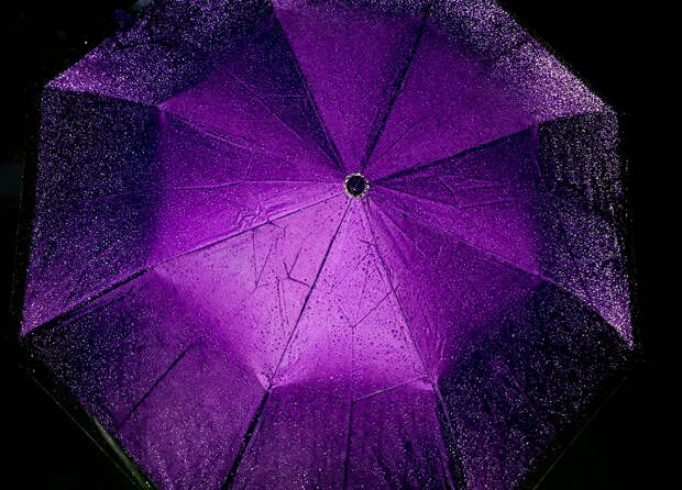 Точно не в раскрытом виде на полу: как правильно нужно сушить зонтик