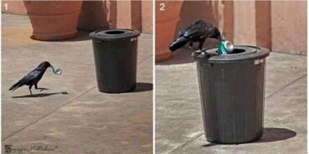 http://www.lubopiten.com/uploads/posts/2012-05/1337121556_funny-pictures-32.jpg