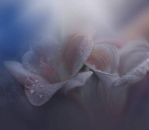 10 (700x613, 16Kb)