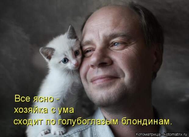 Лучшие котоматрицы недели